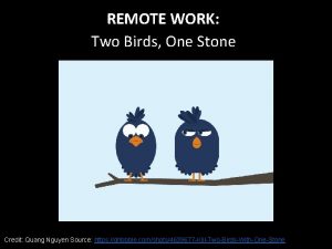 REMOTE WORK Two Birds One Stone Credit Quang