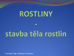 ROSTLINY stavba tla rostlin Vytvoila Mgr Miloslava Tremlov