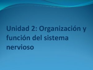 Unidad 2 Organizacin y funcin del sistema nervioso