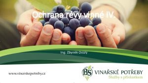 Ochrana rvy vinn IV Ing Zbynk Oslzl Novinky