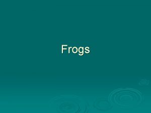 Frogs Vertebrates Have a backbone l Include fishes