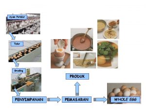 Ayam Petelur Telur Grading PRODUK PENYIMPANAN PEMASARAN WHOLE