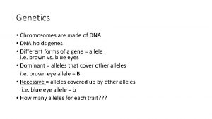 Genetics Chromosomes are made of DNA DNA holds