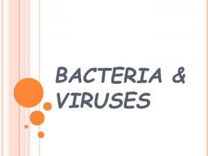 BACTERIA VIRUSES BACTERIA Bacteria reproduce often every 20