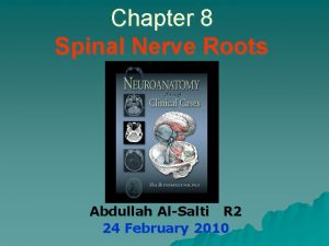 Chapter 8 Spinal Nerve Roots Abdullah AlSalti R