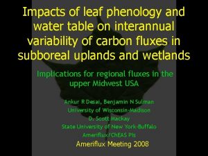 Impacts of leaf phenology and water table on