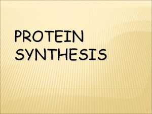 PROTEIN SYNTHESIS 1 DNA AND GENE S DNA