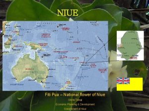 NIUE Fiti Pua National flower of Niue Gloria