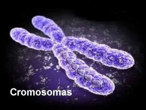 Cromosomas Introduccin l ADN l La informacin gentica