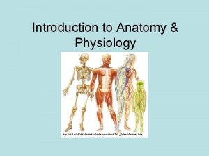 Introduction to Anatomy Physiology http ukol ds 7424