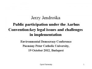 Jerzy Jendroka Public participation under the Aarhus Convention