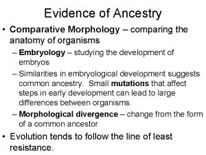 Evidence of Ancestry Comparative Morphology comparing the anatomy