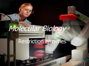 Molecular Biology Restriction enzymes Restriction enzymes q Endonuclease