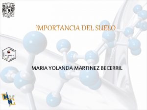 IMPORTANCIA DEL SUELO MARIA YOLANDA MARTINEZ BECERRIL IMPORTANCIA