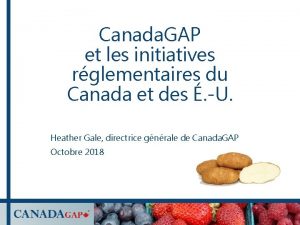 Canada GAP et les initiatives rglementaires du Canada Canada GAP et les initiatives rglementaires du Canada