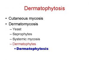 Dermatophytosis Cutaneous mycosis Dermatomycosis Yeast Saprophytes Systemic mycosis