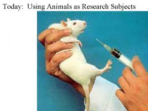 Today Using Animals as Research Subjects Do Animals