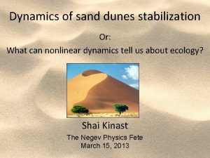 Dynamics of sand dunes stabilization Or What can