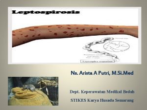 Ns Arista A Putri M Si Med Dept