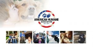 The Oldest National Humane Organization Since 1877 At