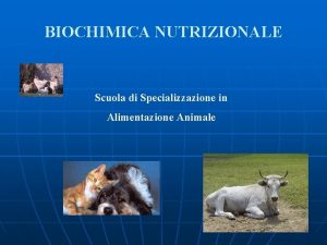 BIOCHIMICA NUTRIZIONALE Scuola di Specializzazione in Alimentazione Animale