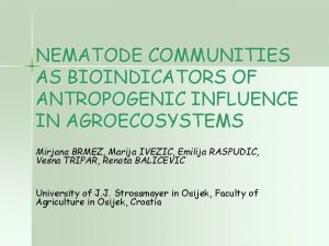 NEMATODE COMMUNITIES AS BIOINDICATORS OF ANTROPOGENIC INFLUENCE IN