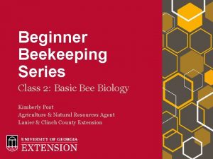 Beginner Beekeeping Series Class 2 Basic Bee Biology