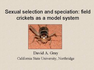 Sexual selection and speciation field crickets as a