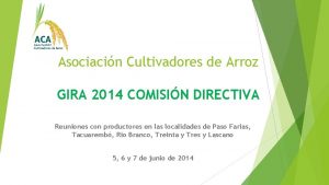 Asociacin Cultivadores de Arroz GIRA 2014 COMISIN DIRECTIVA