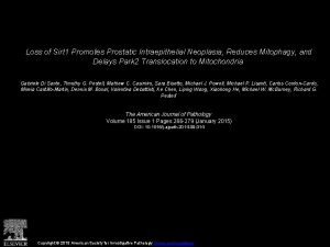 Loss of Sirt 1 Promotes Prostatic Intraepithelial Neoplasia