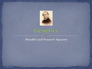 Genetics Mendel and Punnett Squares What is Genetics