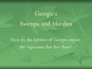 Georgias Swamps and Marshes How do the habitats