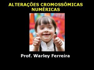 ALTERAES CROMOSSMICAS NUMRICAS Prof Warley Ferreira TIPOS EUPLOIDIAS