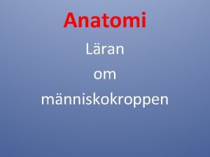 Anatomi Lran om mnniskokroppen Teori varfr 1 Teori