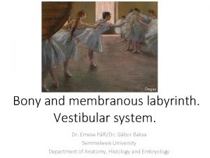 Degas Bony and membranous labyrinth Vestibular system Dr