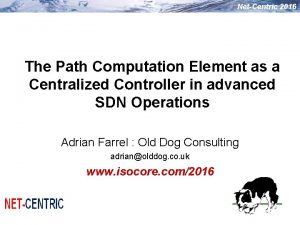NetCentric 2016 The Path Computation Element as a