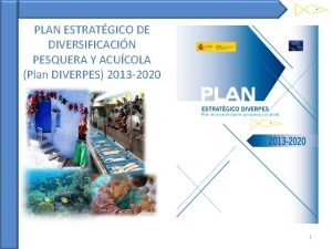 PLAN ESTRATGICO DE DIVERSIFICACIN PESQUERA Y ACUCOLA Plan