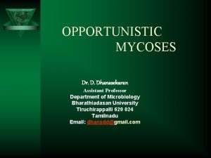 OPPORTUNISTIC MYCOSES Dr D Dhanasekaran Assistant Professor Department
