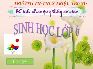 TRNG THTHCS TRIU TRUNG LP 6 A S