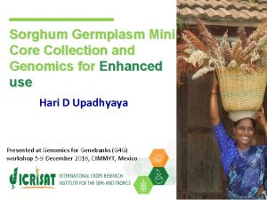 Sorghum Germplasm Mini Core Collection and Genomics for