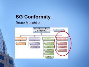 SG Conformity Bruce Muschlitz February 2010 SG Conformity