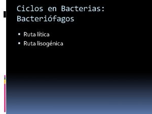 Ciclos en Bacterias Bacterifagos Ruta ltica Ruta lisognica