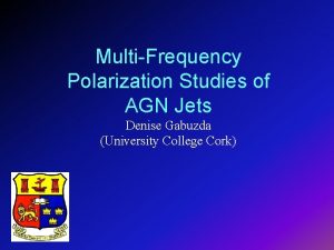 MultiFrequency Polarization Studies of AGN Jets Denise Gabuzda