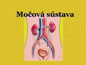 Moov sstava Pri metabolizme ltok neustle vznikaj ltky