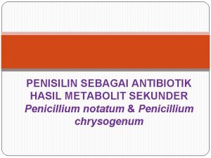 PENISILIN SEBAGAI ANTIBIOTIK HASIL METABOLIT SEKUNDER Penicillium notatum