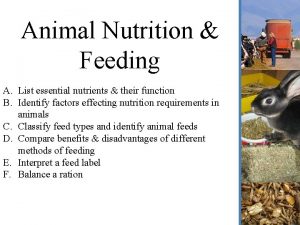 Animal Nutrition Feeding A List essential nutrients their