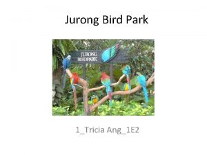 Jurong Bird Park 1Tricia Ang1 E 2 Immerse