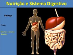 Nutrio e Sistema Digestivo Biologia Tema Nutrio e