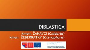 DIBLASTICA kmen AHAVCI Cnidaria kmen EBERNATKY Ctenophora Tln