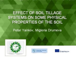 Showeet com EFFECT OF SOIL TILLAGE SYSTEMS ON